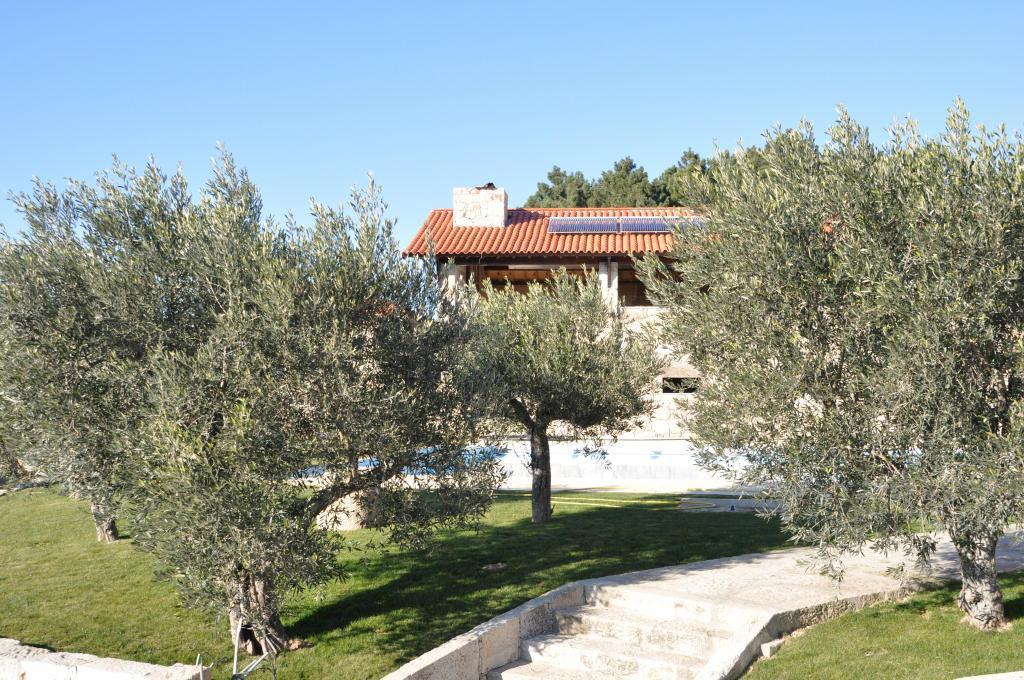Quinta Do Olival ξενώνας Vilas Boas  Εξωτερικό φωτογραφία