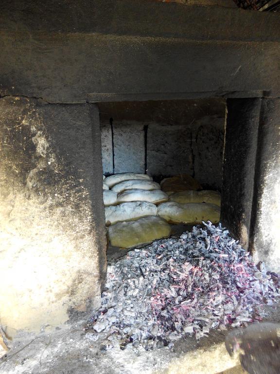 Quinta Do Olival ξενώνας Vilas Boas  Εξωτερικό φωτογραφία